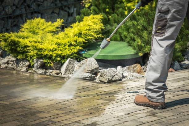 Best Driveway Pressure Washing  in Sand Point, AK